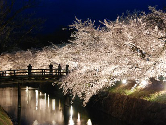 Sakuros, The Mainichi Daily News fotoarchyvai